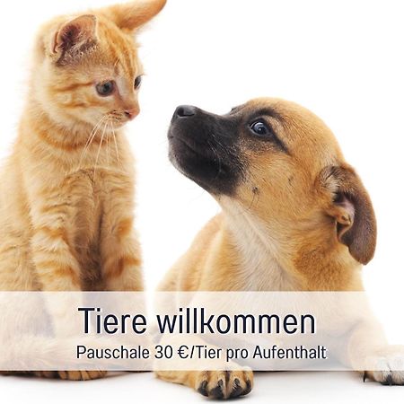 Penthouse - 3 Schlafzimmer- Sonnige Dachterrasse -Whirlpool & Alpenblick - Perfekt Fuer Romantik Oder Familienurlaub Mit Kind, Hund Willkommen - By Ferienwohnenamsee - Uberlingen Eksteriør bilde