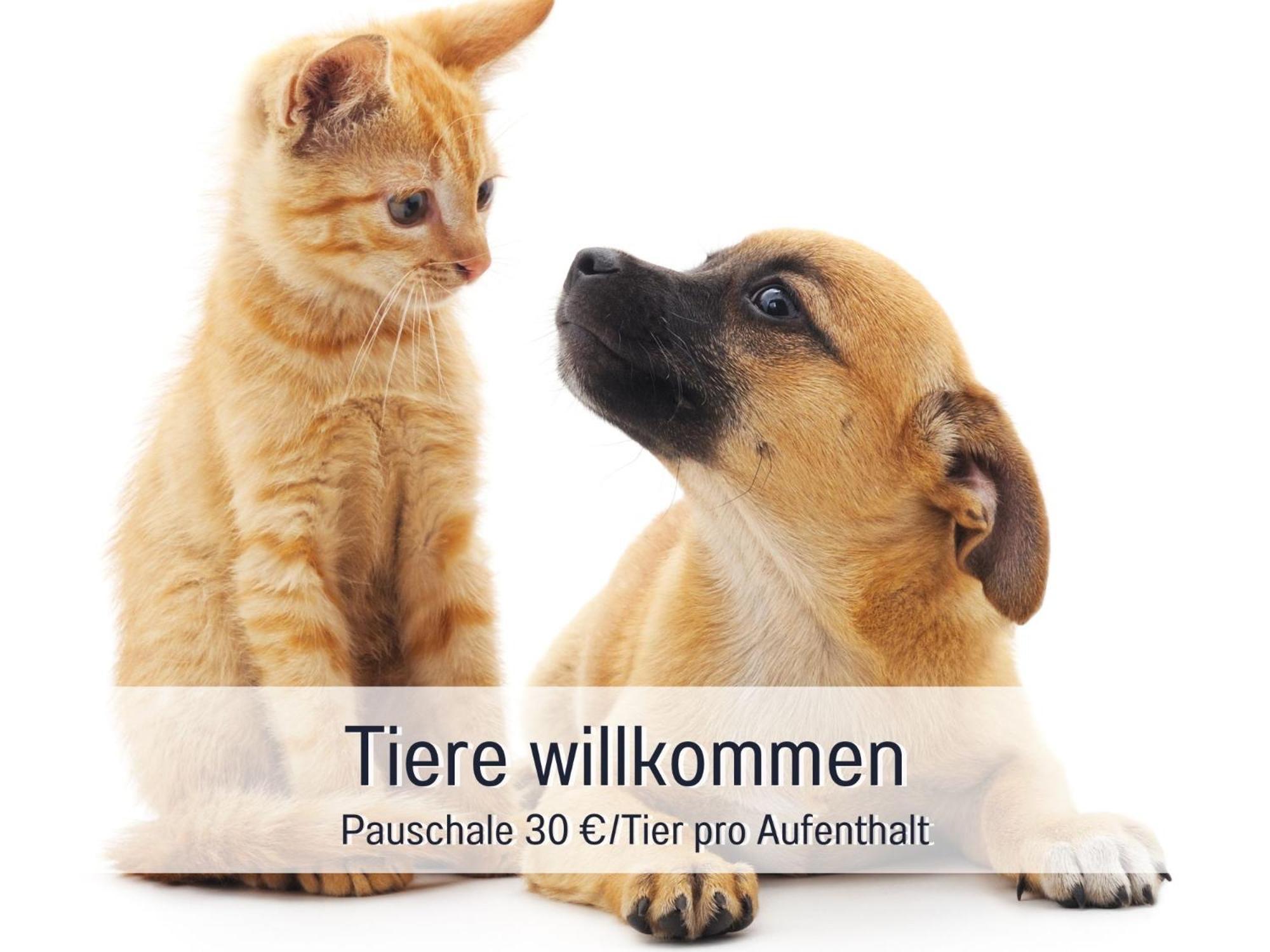Penthouse - 3 Schlafzimmer- Sonnige Dachterrasse -Whirlpool & Alpenblick - Perfekt Fuer Romantik Oder Familienurlaub Mit Kind, Hund Willkommen - By Ferienwohnenamsee - Uberlingen Eksteriør bilde